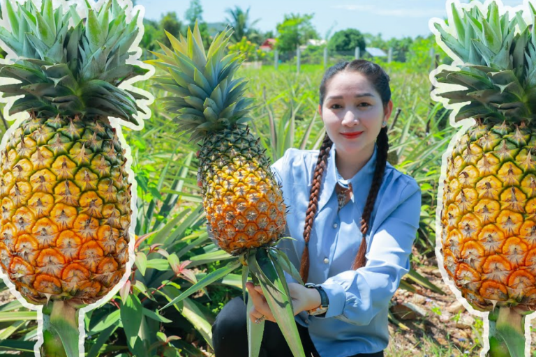 Descubra o Momento Ideal para Plantar Abacaxi e Colher Frutos Saborosos