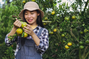 Quais as Melhores Frutas para Plantar no Quintal? Descubra Como Cultivar uma Colheita Abundante em Casa