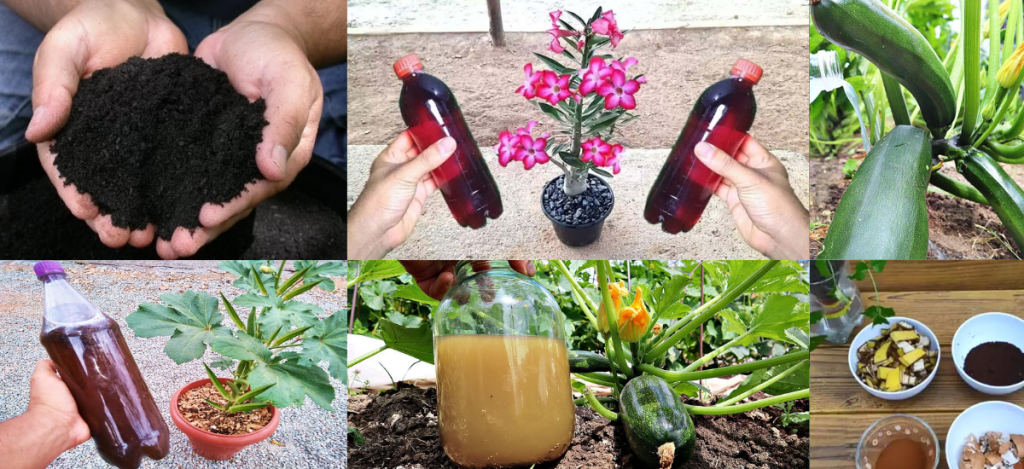 Como Fazer Adubo Caseiro? 7 Opções para Usar em Plantas