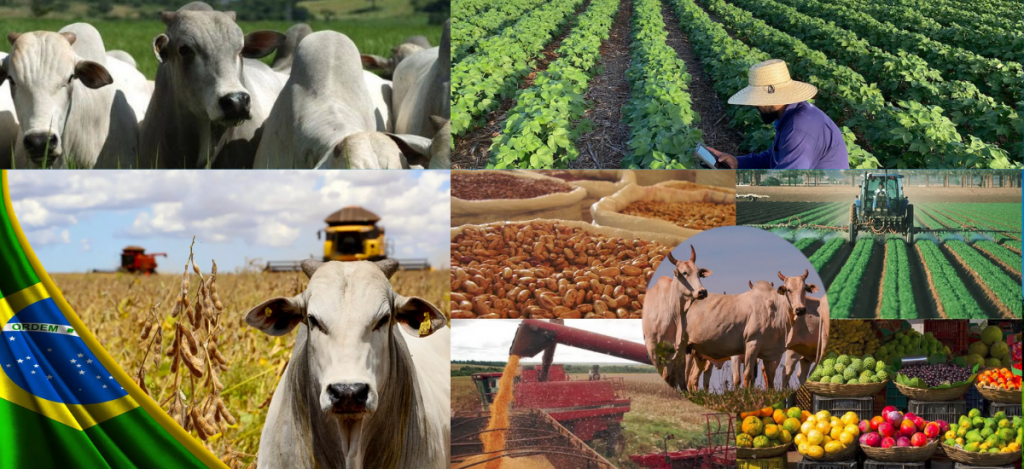 Principais Produtos Agrícolas: A Força do Agronegócio no Brasil
