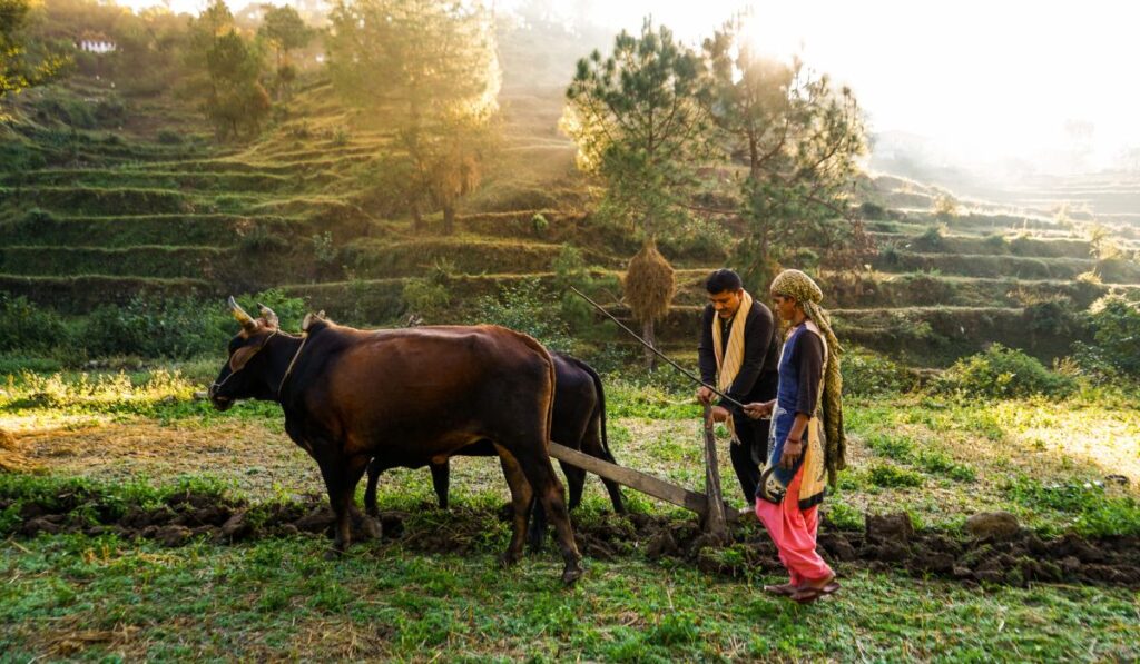 Uma foto de uma fazenda sustentável, com plantações diversificadas e trabalhadores felizes