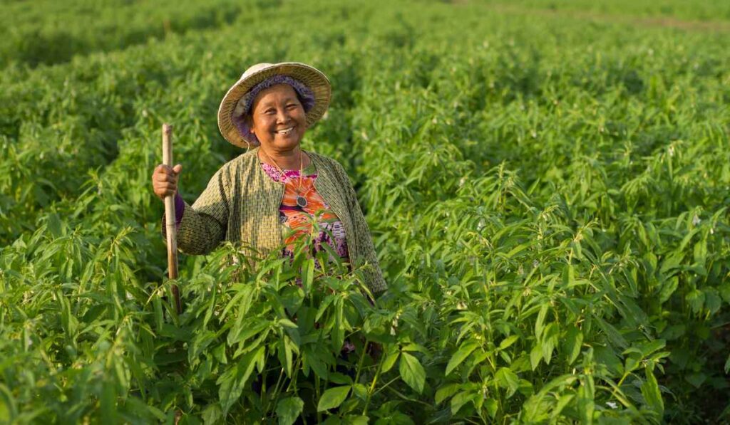 Agricultora em sua lavoura