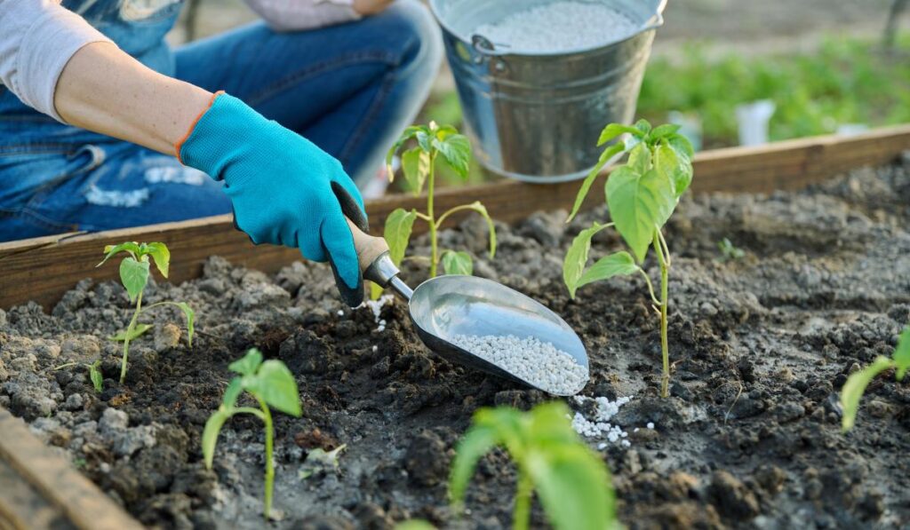 Tipos de Adubos para Frutíferas