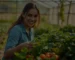 Blog Sobre Roça Agricultura e Agronegócio