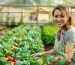 Agricultura