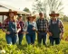 Agricultura