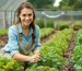 Agricultura