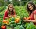 Agricultura