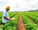 Agricultura e Agronegócio