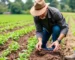 Agricultura e Agronegócio