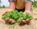 Agricultura e Agronegócio