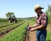 Agricultura e Agronegócio
