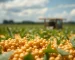Agricultura e Agronegócio