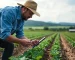 Agricultura e Agronegócio
