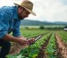 Agricultura e Agronegócio