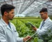 Agricultura e Agronegócio