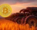 Agricultura e Agronegócio