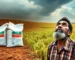 Agricultura e Agronegócio