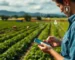 Agricultura e Agronegócio