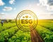 Agricultura e Agronegócio