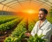 Agricultura e Agronegócio