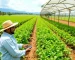Agricultura e Agronegócio