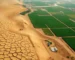 Agricultura e Agronegócio