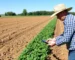 Agricultura e Agronegócio