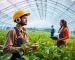 Agricultura e Agronegócio