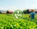 Agricultura e Agronegócio
