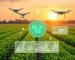 Agricultura e Agronegócio