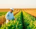 Agricultura e Agronegócio