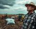Agricultura e Agronegócio