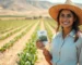 Grãos no Nordeste: Como Novas Cultivares Estão Mudando o Jogo