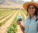 Grãos no Nordeste: Como Novas Cultivares Estão Mudando o Jogo
