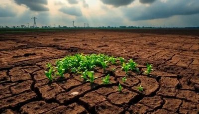 Sua Terra Está Cansada? 3 Sinais de Esgotamento do Solo que Nenhum Produtor Pode Ignorar