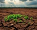 Sua Terra Está Cansada? 3 Sinais de Esgotamento do Solo que Nenhum Produtor Pode Ignorar