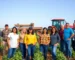 Curiosidade: O Legado Agronômico Pioneiro do RS