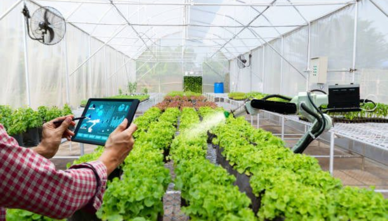 Cursos e Orientação Técnica Lideram Adoção de Tecnologia Rural