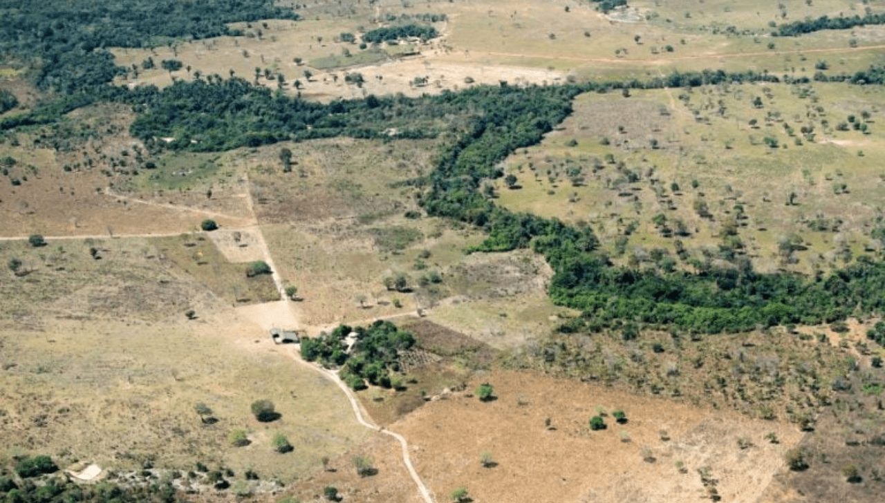 Desmatamento na Amazônia É Negócio Imobiliário, Diz Secretário