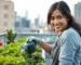 Jardinagem Urbana: Dicas Essenciais para uma Horta Saudável