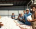 Produção de Fibras Têxteis Naturais