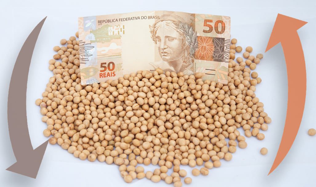 Preços da soja oscilam após relatório do USDA e feriados regionais - Imagem do artigo original