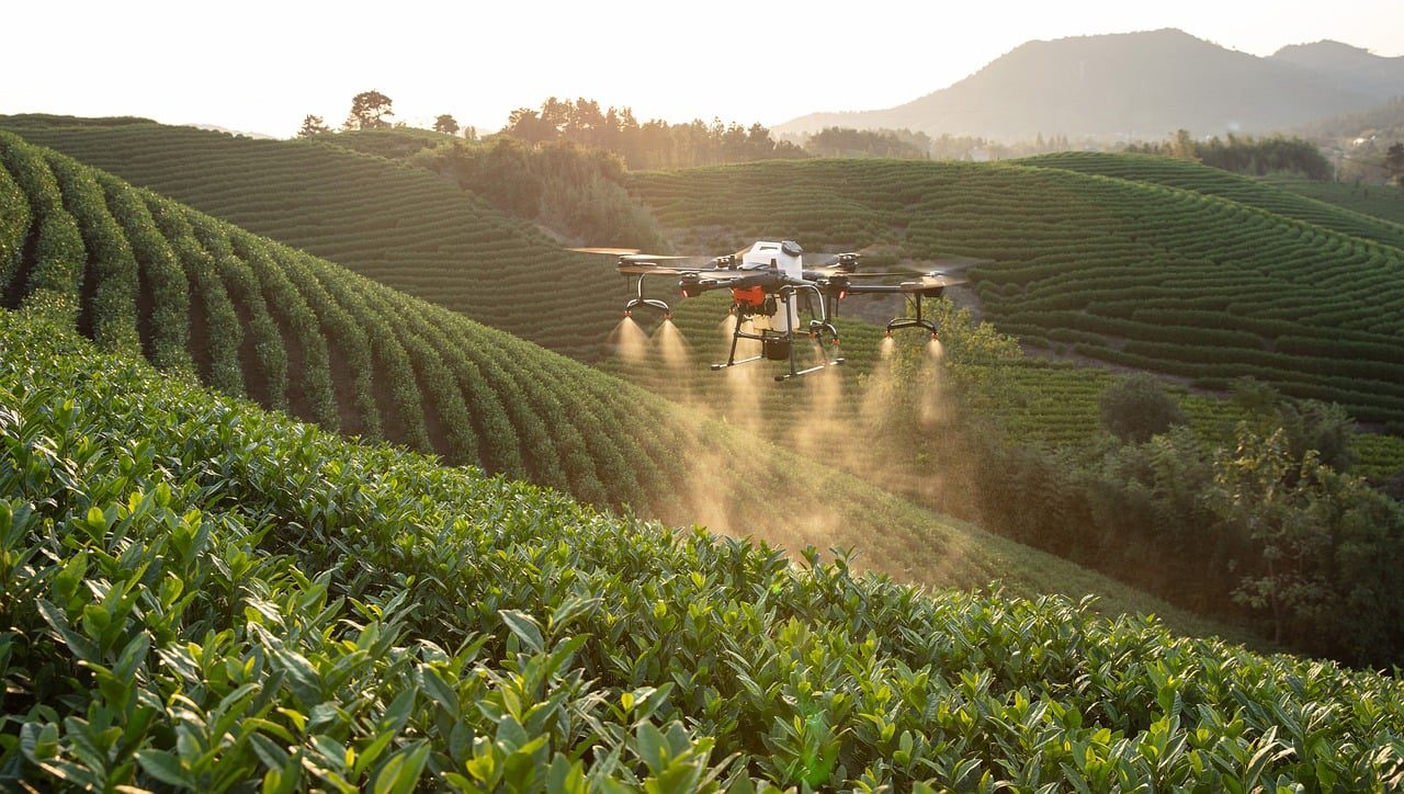 Irrigação automática lidera preferência de produtores em enquete sobre tecnologias no campo - Imagem do artigo original