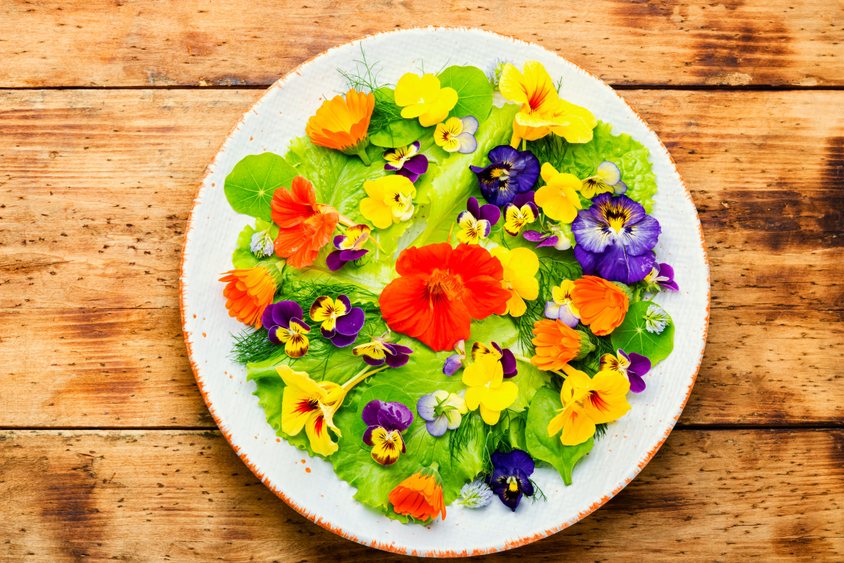 Guia Para Cultivar Flores Comestíveis em Casa - Imagem do artigo original
