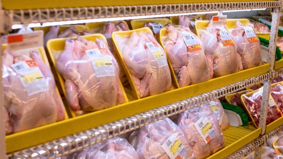 BRF Prevê Retorno das Compras de Frango pela China e UE BRF Prevê Retorno das Compras de Frango pela China e UE - Imagem do artigo original