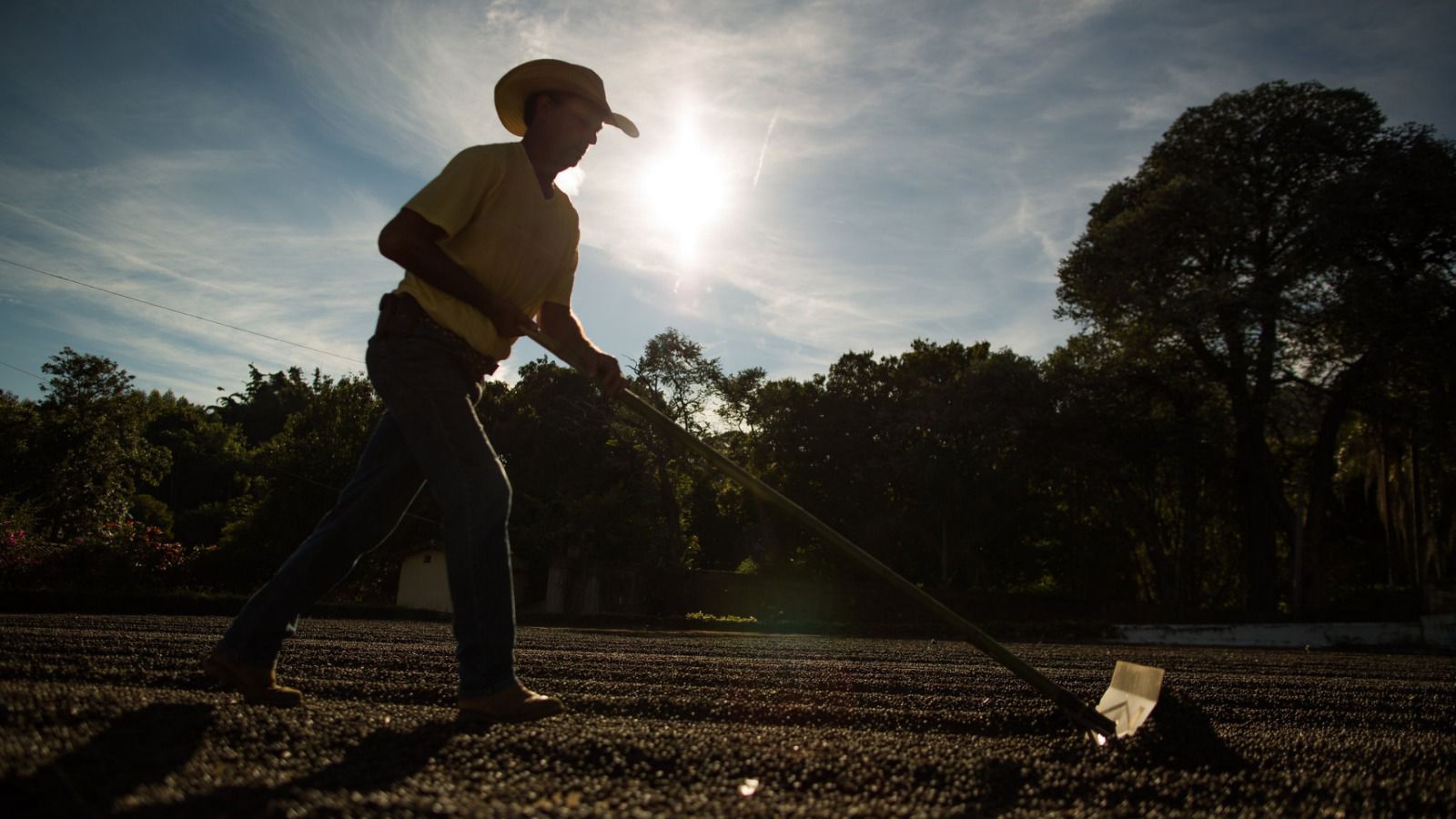 Agro Impulsiona Emprego e Reduz Dependência do Bolsa Família Agro Impulsiona Emprego e Reduz Dependência do Bolsa Família - Imagem do artigo original