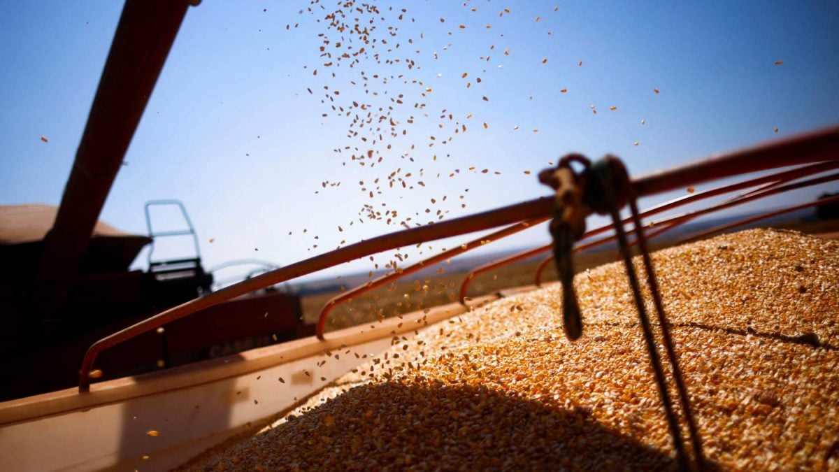 Cargill Bioenergia Fará Usina de Etanol de Milho em Goiás Cargill Bioenergia Fará Usina de Etanol de Milho em Goiás - Imagem do artigo original