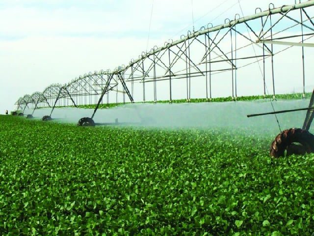 Irrigação é Destaque na FIIB Como Aliada contra o Clima - Imagem do artigo original