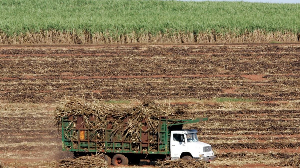 Raízen Sobe 10% Após Rumores de Aporte da Petrobras - Imagem do artigo original